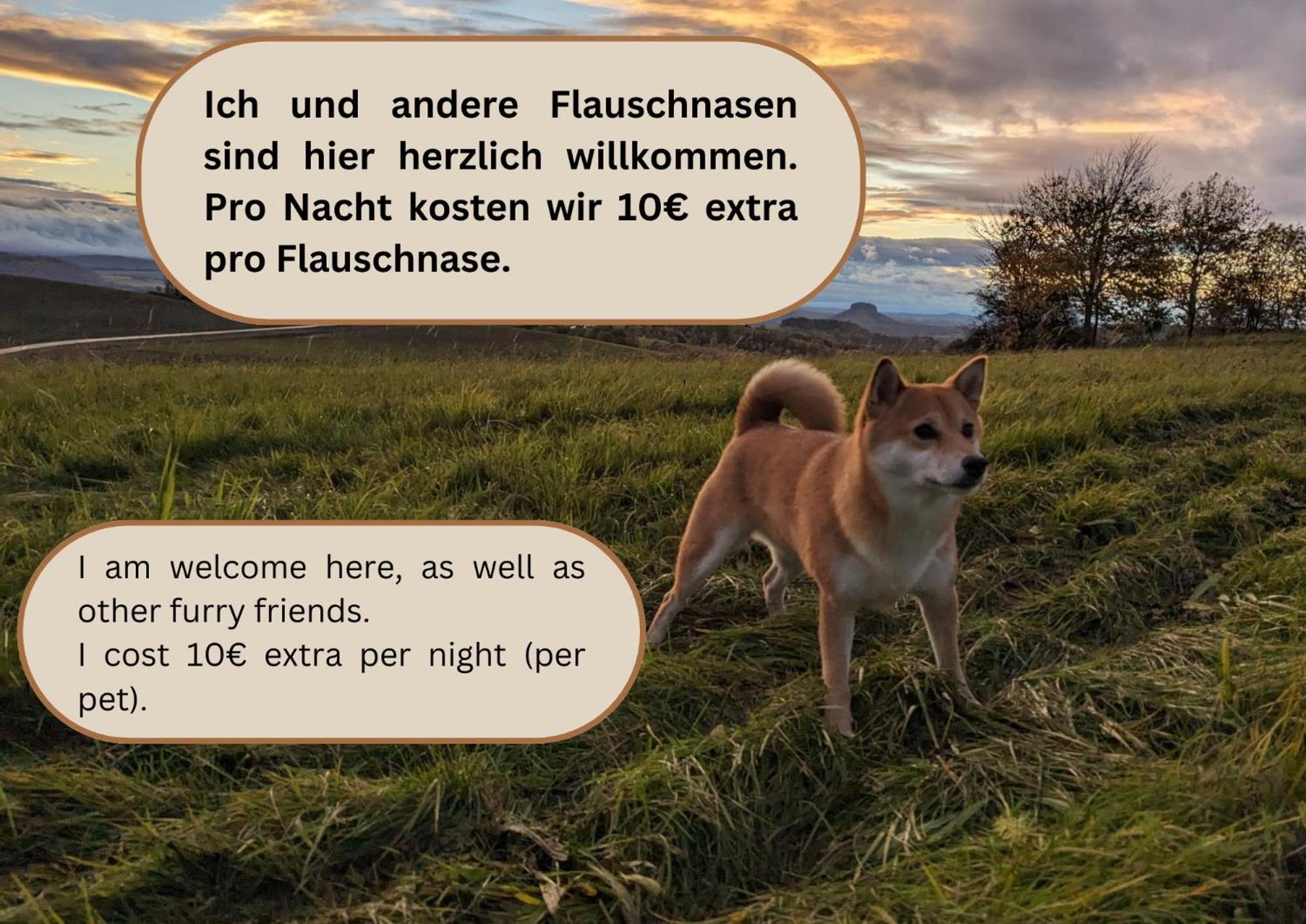 W2 - Urlaubsmagie - Im Herzen Des Elbsandsteingebirges زبنيتس المظهر الخارجي الصورة